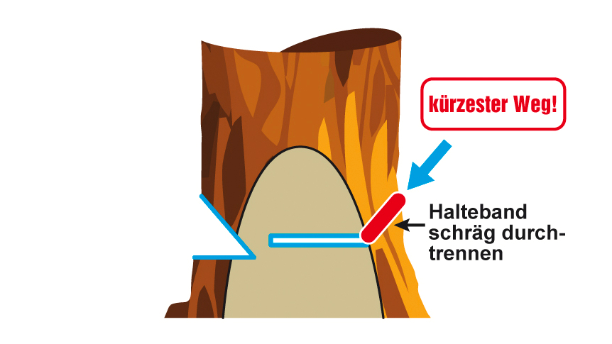 Vergrößerung des Bildes für Abstrakte Darstellung eines Baumstumpfes mit gezeichnetem .
