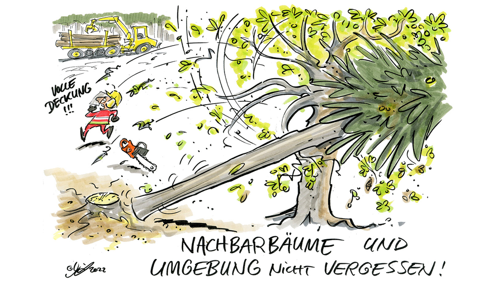 Vergrößerung des Bildes für Cartoon von einem Baum, der bei der Fällung auf einen anderen Baum fällt. Ein Forstarbeiter rennt dabei schnell weg..