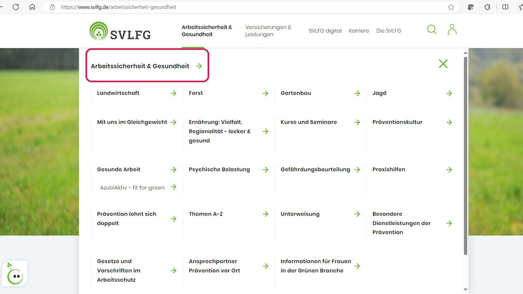 Vergrößerung des Bildes für Ausschnitt vom Flyout-Menü Arbeitssicherheit und Gesundheit.