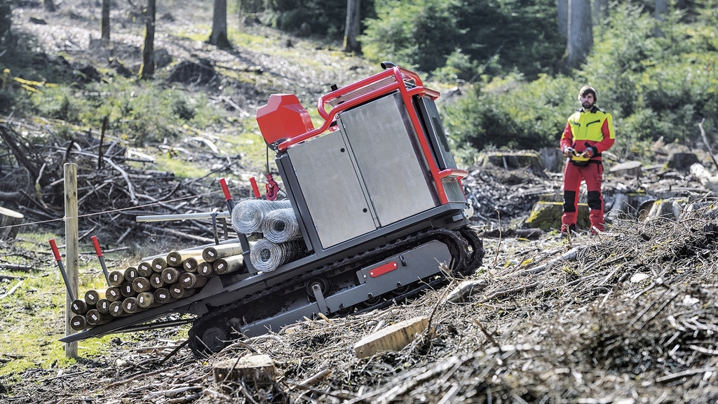 Vergrößerung des Bildes für Eine Forstraupe im Wald.